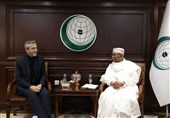 Iran, OIC Discuss Martyrdom of Haniyeh