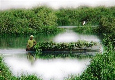 سهيلي،منطقه،بومي،محلي،سفر،حفظ،فرهنگ،توسعه،قشم،تجربه،غافل،گرد ...
