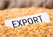 Iran Exports 91,000 Tons of Cereals in One Year: Official