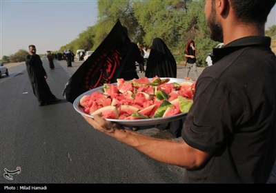 حرکت کاروان مشایه الهایی به کربلا معلی