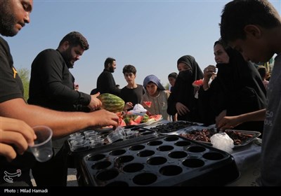 حرکت کاروان مشایه الهایی به کربلا معلی