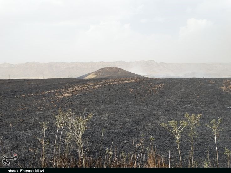 استان لرستان , آتش سوزی جنگل ها و مراتع , جنگل , 