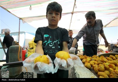 موکبهای پذیرایی از زائران اربعین حسینی در همدان