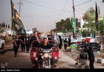 راهپیمایی نجف تا کربلا