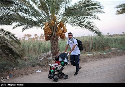 راهپیمایی نجف تا کربلا