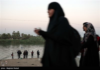 راهپیمایی نجف تا کربلا