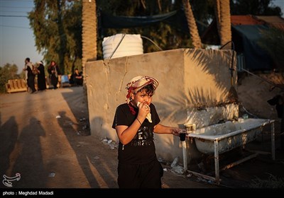 راهپیمایی نجف تا کربلا