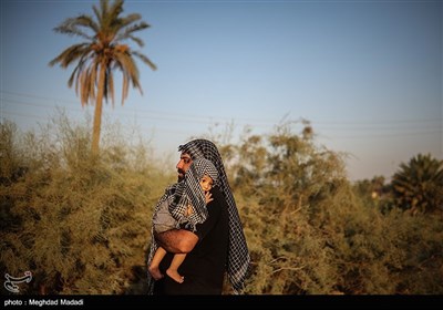 راهپیمایی نجف تا کربلا