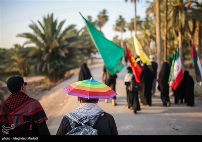 راهپیمایی نجف تا کربلا