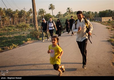 راهپیمایی نجف تا کربلا