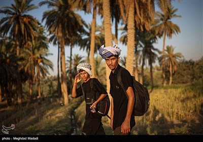 راهپیمایی نجف تا کربلا