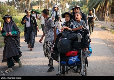 راهپیمایی نجف تا کربلا