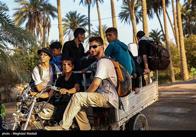 راهپیمایی نجف تا کربلا