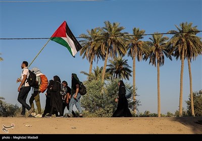 راهپیمایی نجف تا کربلا