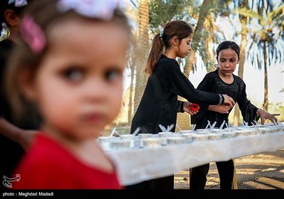 راهپیمایی نجف تا کربلا