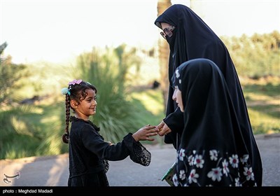 راهپیمایی نجف تا کربلا