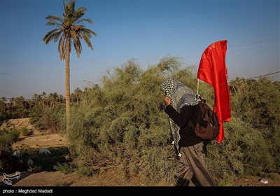 راهپیمایی نجف تا کربلا