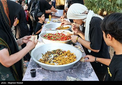 راهپیمایی نجف تا کربلا