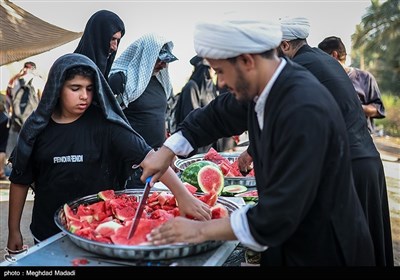 راهپیمایی نجف تا کربلا