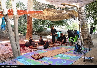 راهپیمایی نجف تا کربلا