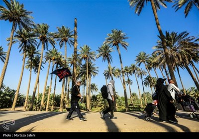 پیاده روی زائران اربعین حسینی در طریق العلماء