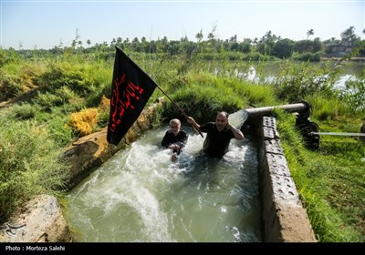 پیاده روی زائران اربعین حسینی در طریق العلماء