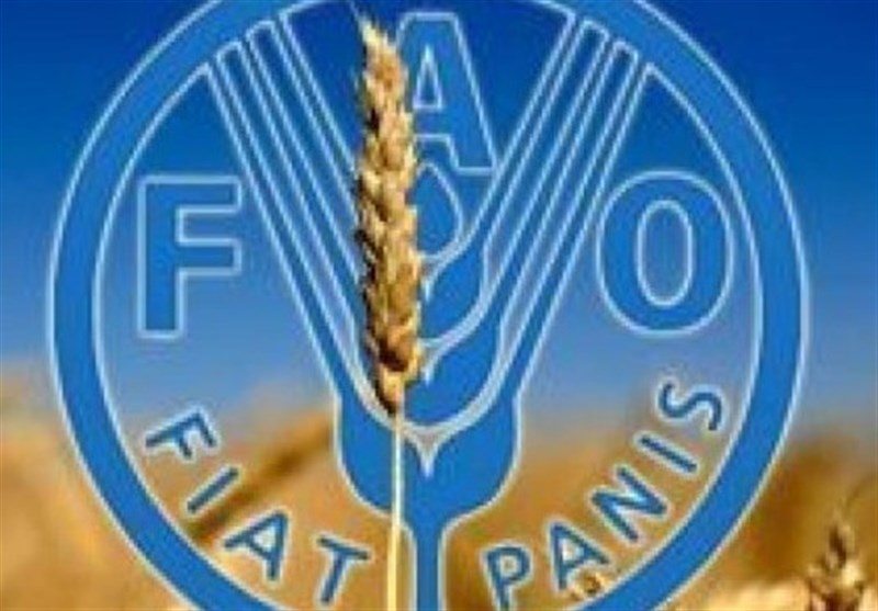 Iran, FAO Cooperate in Green Climate Fund to Bolster Climate Resilience