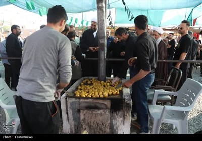 بازدید امام جمعه همدان از موکب های اربعین