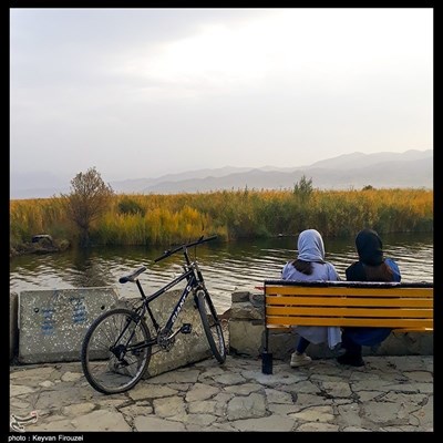 بدون عنوان