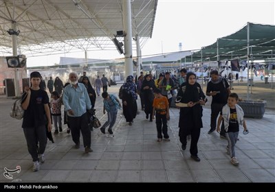 بهشت را باید در اینجا دید/ گفت‌وگو با زائران اربعین در کربلا