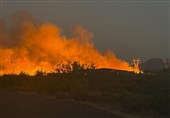 22 mln Hectares of Forest Affected by Fires in Brazil