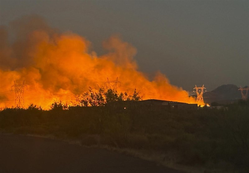 22 mln Hectares of Forest Affected by Fires in Brazil