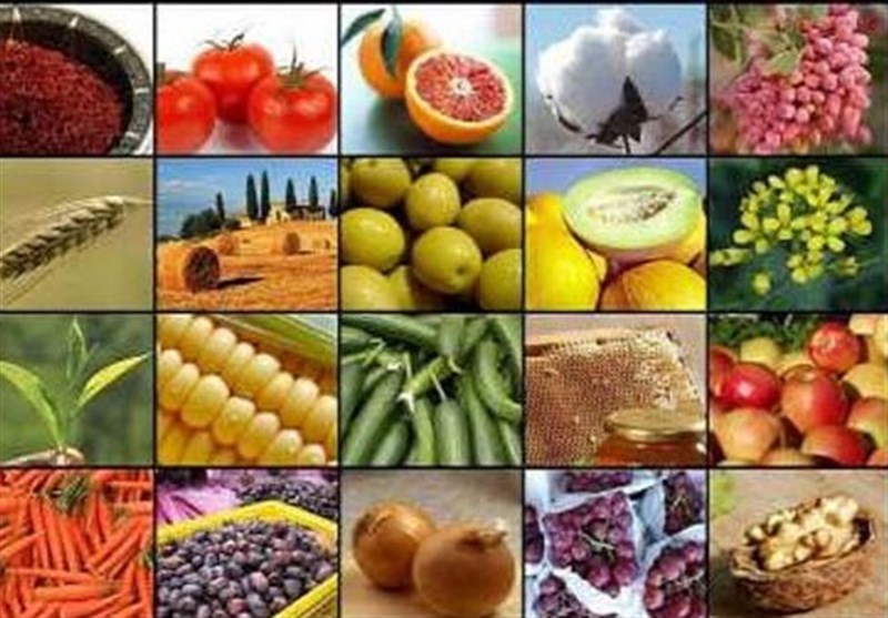 Iran Exports $1.5 Billion of Agricultural Products in 5 Months