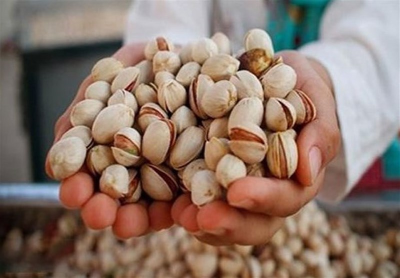 Iran’s Export of Pistachios Up 213% in 5-Month Period: IRICA