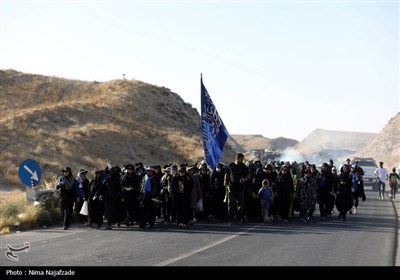 پیاده روی زائران امام رضا (ع)