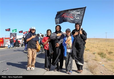 Pilgrims Walk to Imam Reza (AS) Shrine in Mashhad