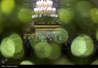 مراسم شام غریبان شهادت امام رضا(ع)