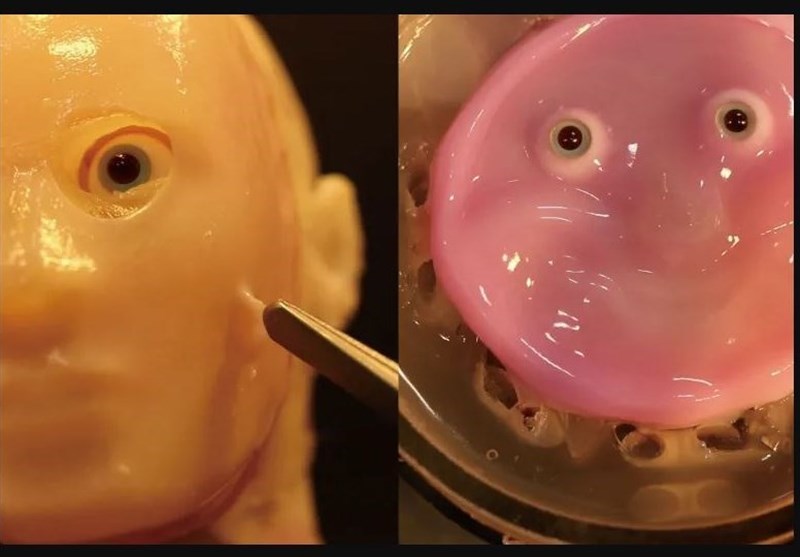 Japanese Scientists Graft Living Skin onto ‘Smiling’ Robot