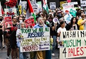 Hundreds Protest in Seattle Following Turkish American Activist’s Killing in West Bank