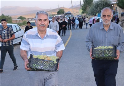 حال خوش زنجانی‌ها در جشنواره انگور ابهر