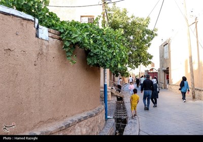 سومین جشنواره انگور شهرستان ابهر