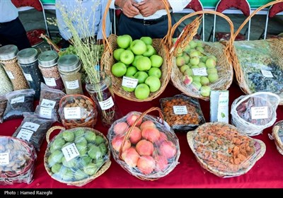 سومین جشنواره انگور شهرستان ابهر