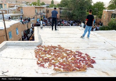 سومین جشنواره انگور شهرستان ابهر