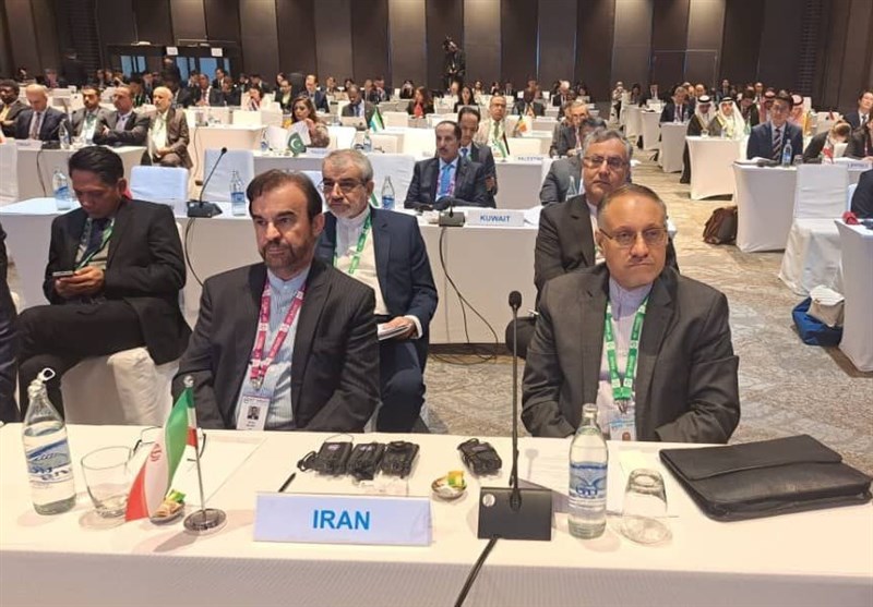 Asia, Africa Leading Actors in Multilateralism: Iran’s Envoy