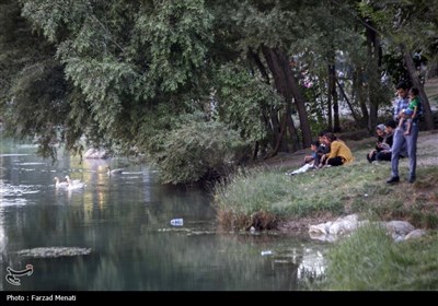 مسافران تابستانی در محوطه تاریخی طاقبستان - کرمانشاه