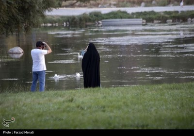 مسافران تابستانی در محوطه تاریخی طاقبستان - کرمانشاه