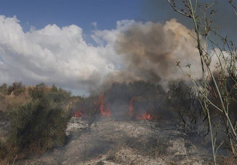 Palestinian Resistance Groups Praise Yemeni Missile Strike on Israeli Target near Tel Aviv