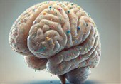 Microplastics Found in Human Brain Tissue, Study Reveals