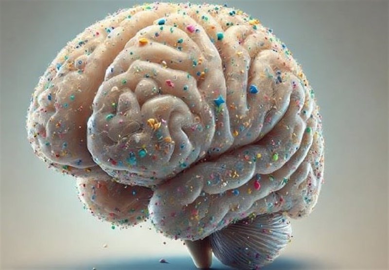 Microplastics Found in Human Brain Tissue, Study Reveals