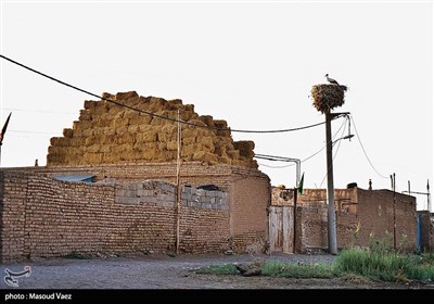 میزبانی روستای مایان سفلی از لک‌لک‌های مهاجر